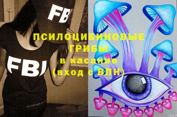 jwh Ельня