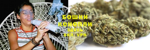 ALPHA-PVP Елизово